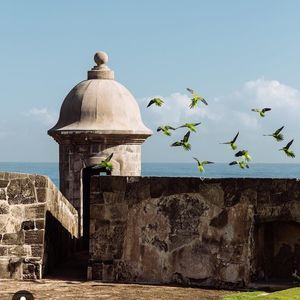 Meet your Posher, Fukikashika